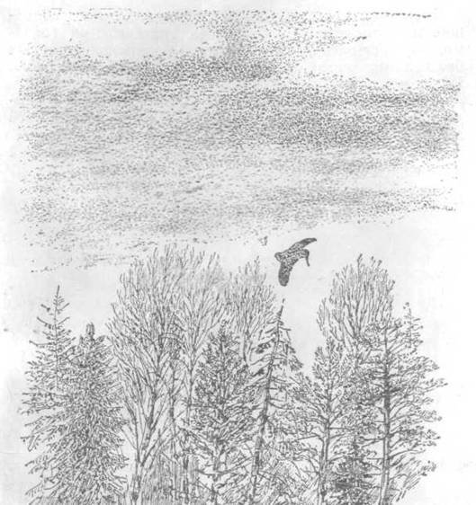 Повести и рассказы - i_130.jpg