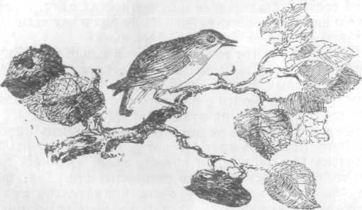 Повести и рассказы - i_139.jpg