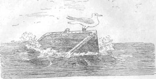 Повести и рассказы - i_148.jpg