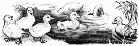 Анъяр - i_005.png