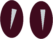 Мастер кроется в деталях... - i_04_03_2_09.png