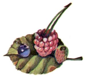 Приключения Дук-ду - i_017.jpg