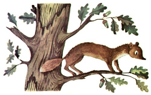 Приключения Дук-ду - i_026.jpg