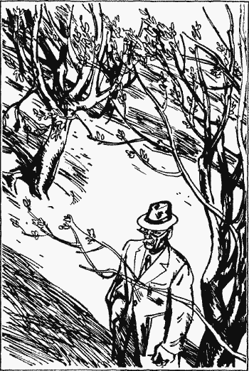 Алтайская повесть - i_021.png