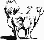 Командир звёздочки - i_019.png