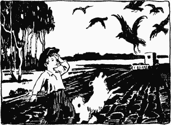 Золотые ключики - i_011.png