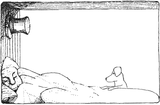 История Доктора Дулитла - Untitled23.png