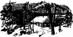 Мир приключений 1957 г. № 3. - i_029.jpg