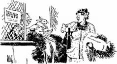 Мир приключений 1957 г. № 3. - i_161.jpg