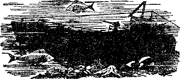 Шхуна «Колумб»(ил. А.И. Титовского) - i_011.png