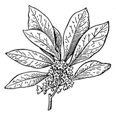 Большая Советская Энциклопедия (КО) - i009-001-220779848.jpg