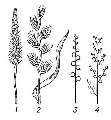 Большая Советская Энциклопедия (КО) - i009-001-238008556.jpg