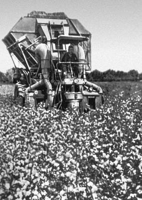 Большая Советская Энциклопедия (КО) - i010-001-257144399.jpg