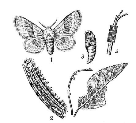 Большая Советская Энциклопедия (КО) - i009-001-211723149.jpg
