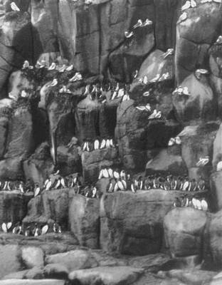 Большая Советская Энциклопедия (КО) - i010-001-253938096.jpg