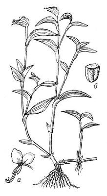 Большая Советская Энциклопедия (КО) - i008-pictures-001-288999122.jpg