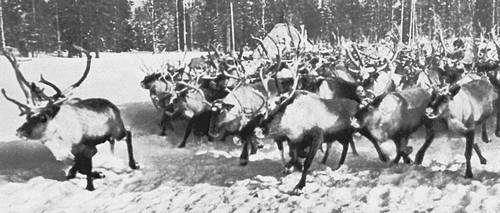 Большая Советская Энциклопедия (КО) - i010-001-268730061.jpg