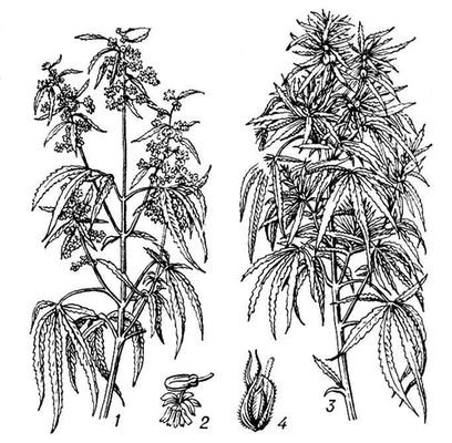 Большая Советская Энциклопедия (КО) - i008-pictures-001-296285272.jpg