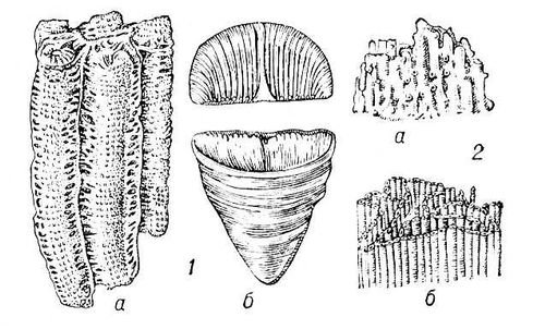 Большая Советская Энциклопедия (КО) - i010-001-250730335.jpg