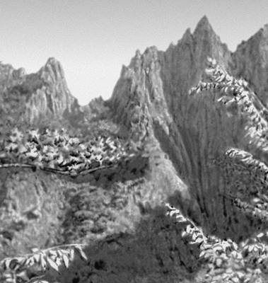 Большая Советская Энциклопедия (КО) - i008-pictures-001-299145134.jpg