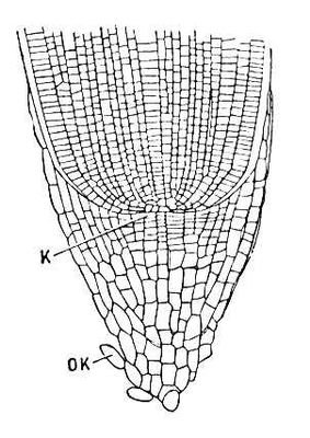 Большая Советская Энциклопедия (КО) - i010-001-250089767.jpg
