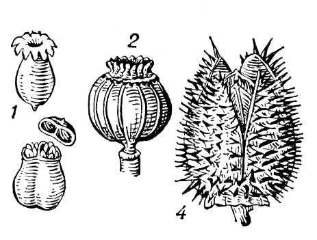 Большая Советская Энциклопедия (КО) - i010-001-278675811.jpg