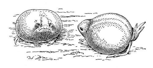 Большая Советская Энциклопедия (КО) - i010-001-253889382.jpg