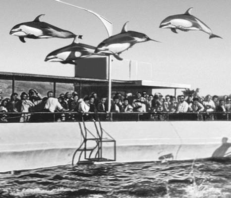 Большая Советская Энциклопедия (КО) - i010-001-257809780.jpg