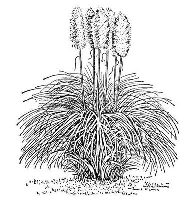 Большая Советская Энциклопедия (КО) - i010-001-274711632.jpg