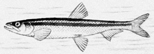 Большая Советская Энциклопедия (КО) - i010-001-264315159.jpg