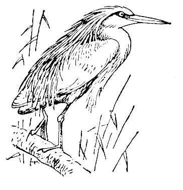 Большая Советская Энциклопедия (КО) - i009-001-228018685.jpg