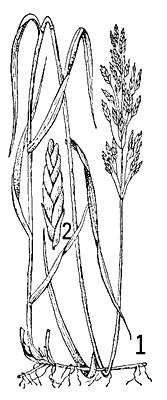 Большая Советская Энциклопедия (КО) - i009-001-231632055.jpg