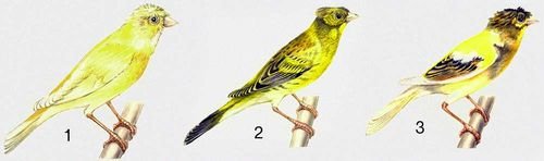 Большая Советская Энциклопедия (МУ) - i010-001-281835657.jpg