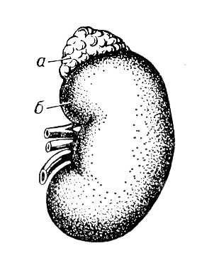 Большая Советская Энциклопедия (НА) - i010-001-252165630.jpg