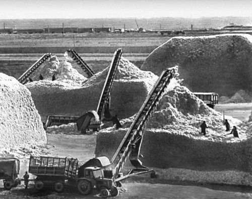 Большая Советская Энциклопедия (НА) - i010-001-257574607.jpg