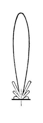 Большая Советская Энциклопедия (НА) - i009-001-204393608.jpg