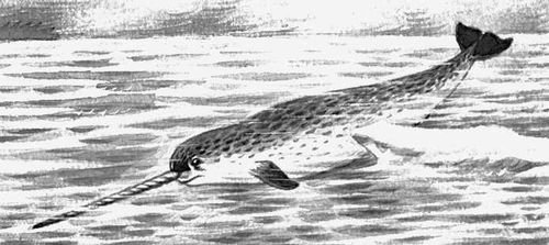 Большая Советская Энциклопедия (НА) - i009-001-234997013.jpg