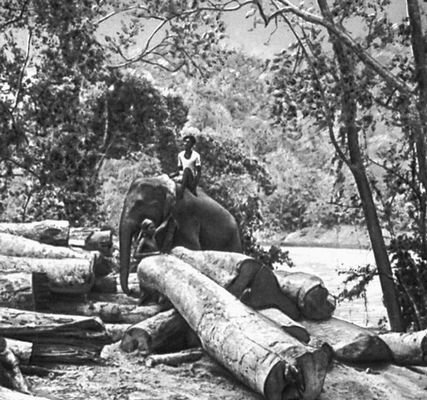 Большая Советская Энциклопедия (НА) - i010-001-261522250.jpg