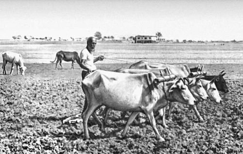 Большая Советская Энциклопедия (НА) - i010-001-267988331.jpg