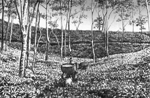 Большая Советская Энциклопедия (НА) - i010-001-280050788.jpg