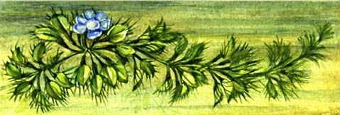 Большая Советская Энциклопедия (НА) - i010-001-274122104.jpg