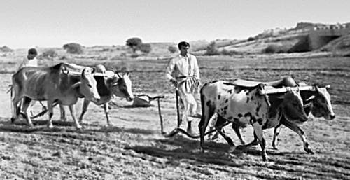 Большая Советская Энциклопедия (ПА) - i009-001-240406419.jpg