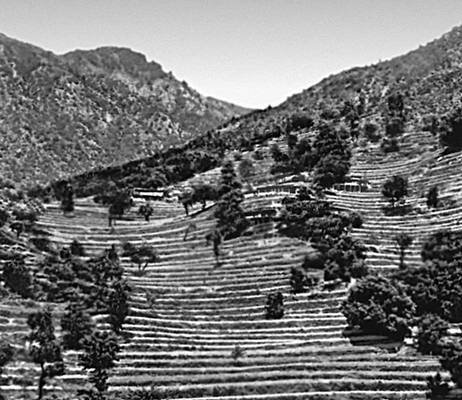 Большая Советская Энциклопедия (ПА) - i009-001-241127646.jpg