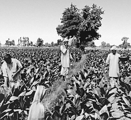 Большая Советская Энциклопедия (ПА) - i010-001-251804758.jpg