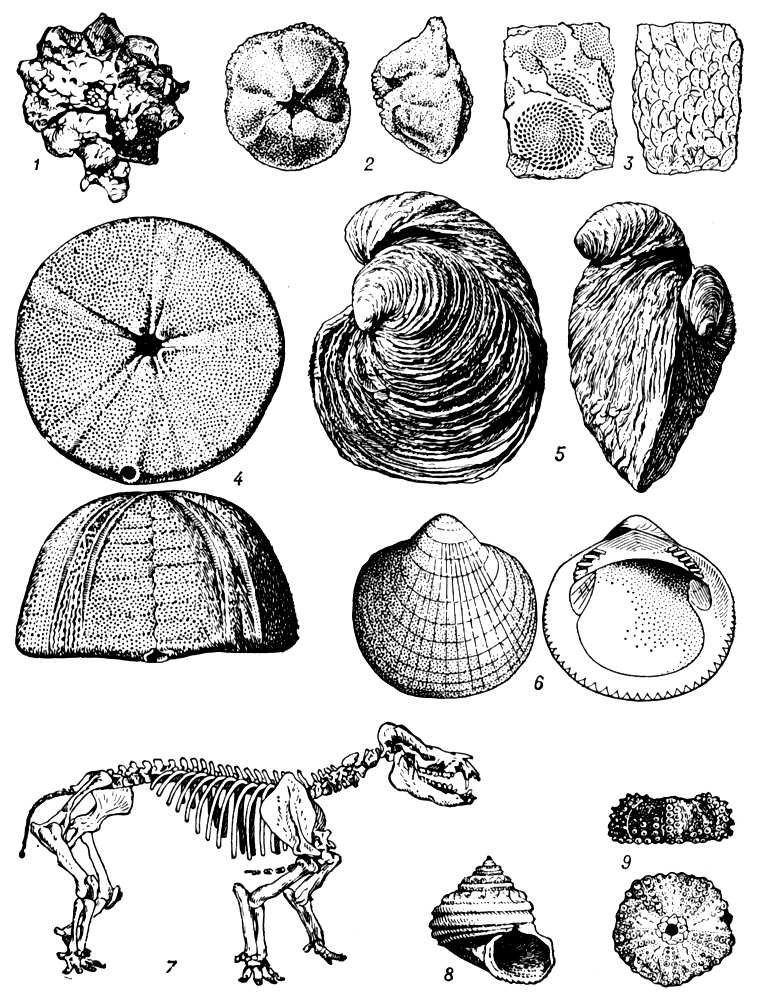 Большая Советская Энциклопедия (ПА) - i010-001-251906723.jpg