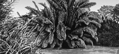 Большая Советская Энциклопедия (ПА) - i010-001-256715562.jpg