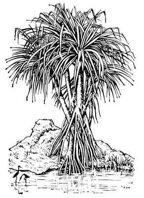 Большая Советская Энциклопедия (ПА) - i009-001-207777417.jpg