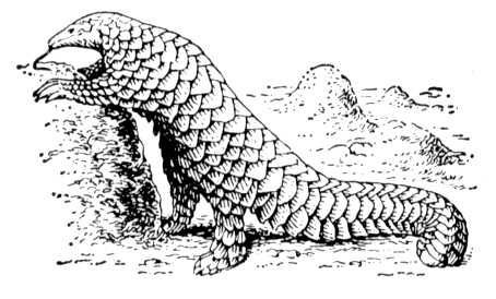 Большая Советская Энциклопедия (ПА) - i009-001-229527477.jpg