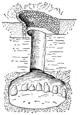 Большая Советская Энциклопедия (ПА) - i008-pictures-001-292891803.jpg