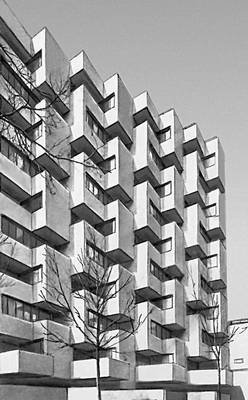 Большая Советская Энциклопедия (ПА) - i009-001-237045196.jpg